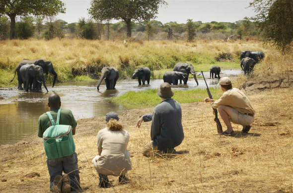 Selous Day Trip Safari Swahili Holidays Amp Safaris Zanzibar